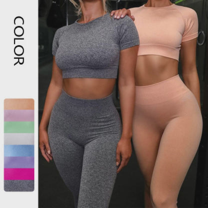 Seamless Yoga Sport Set Fitness Women Running Leggings Short Sleeve Tops