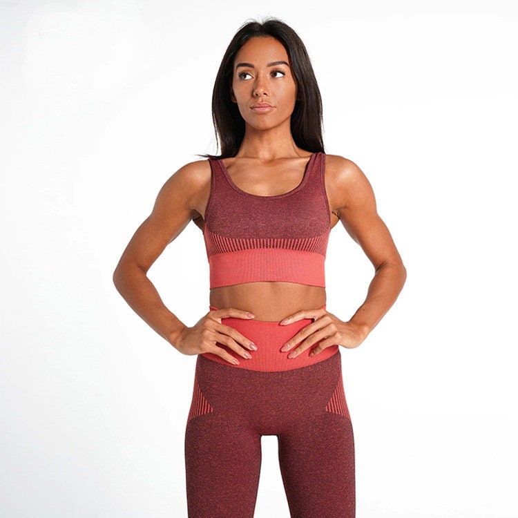 Workout Outfit for Women 2 Piece Seemless High Waisted Leggings Sports Bra Exercise Yoga Set