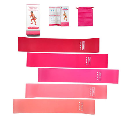 Resistance Band, Fitness Resistance Band, Set of 5 with Carry Bag, Resistance Loop Exercise Bands, with Instruction Guide